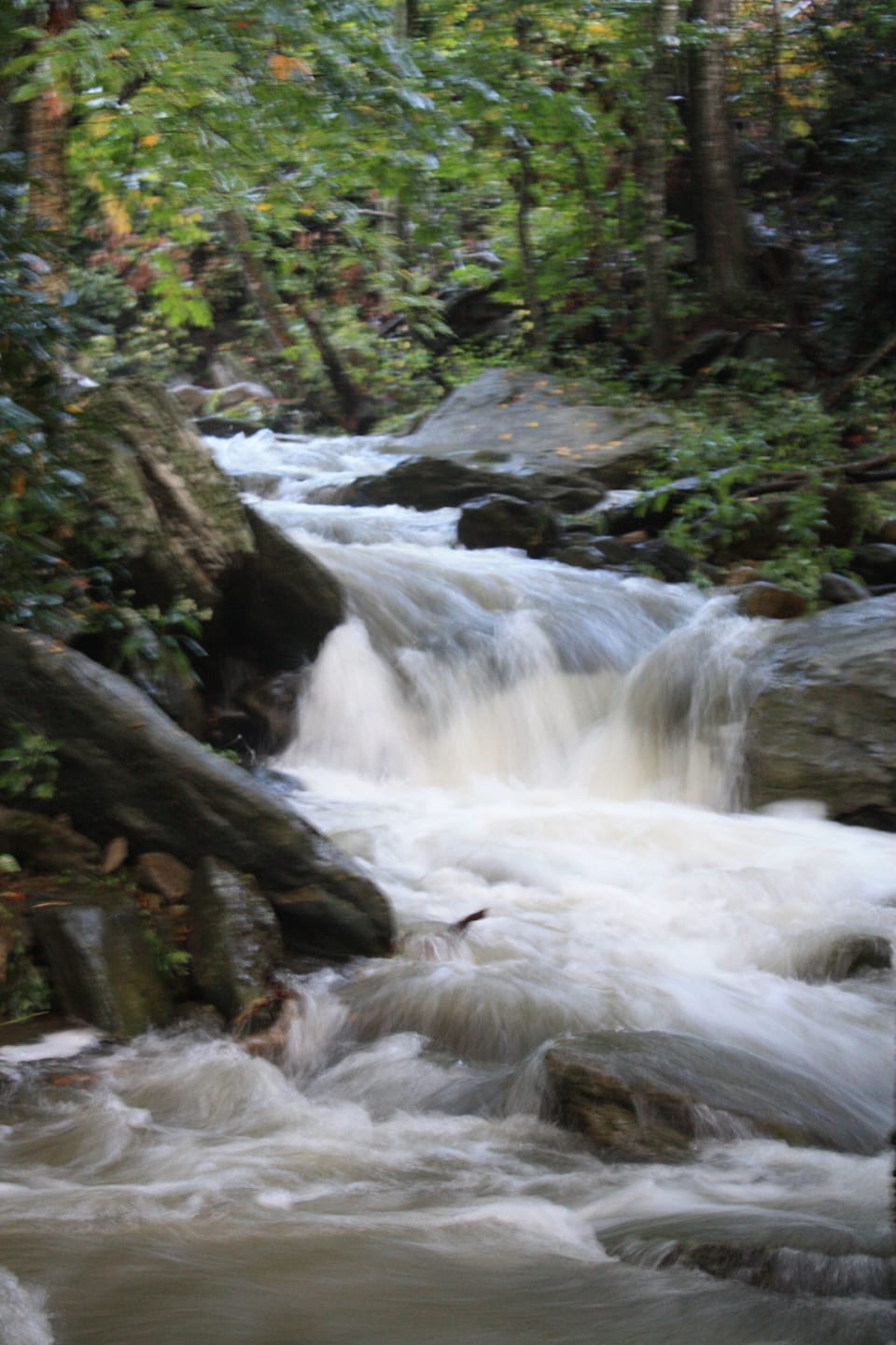 Bryson's Creekside Cabin sits on Otter Falls which can be heard throughout house