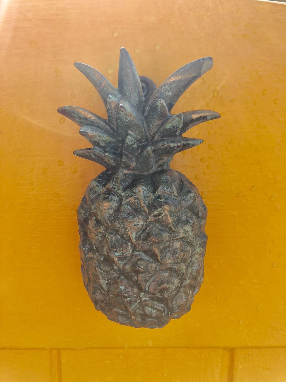 Find the Pineapple on the gate & you will know your home. 