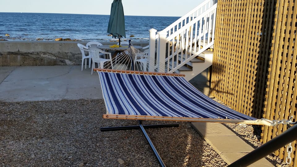 Seasonal hammock 