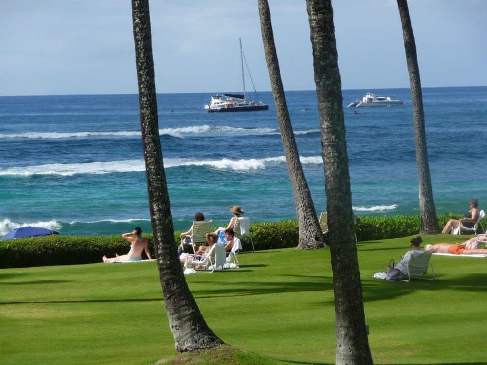Relax and Enjoy on The Great Lawn