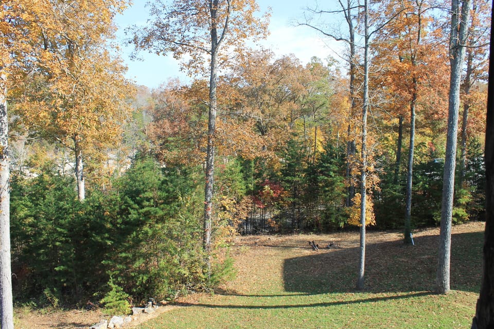 Fall