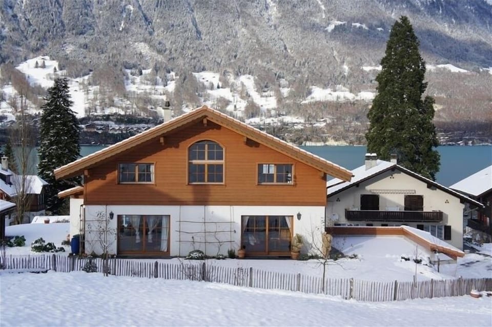 House view in winter.