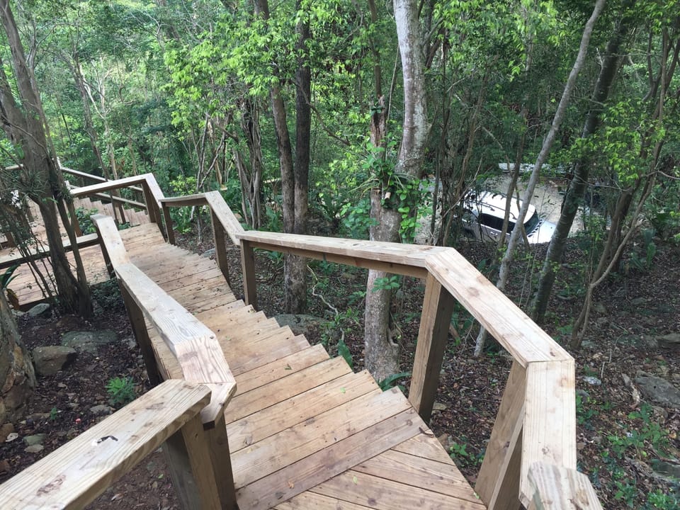 Stairs from the driveway to the house.