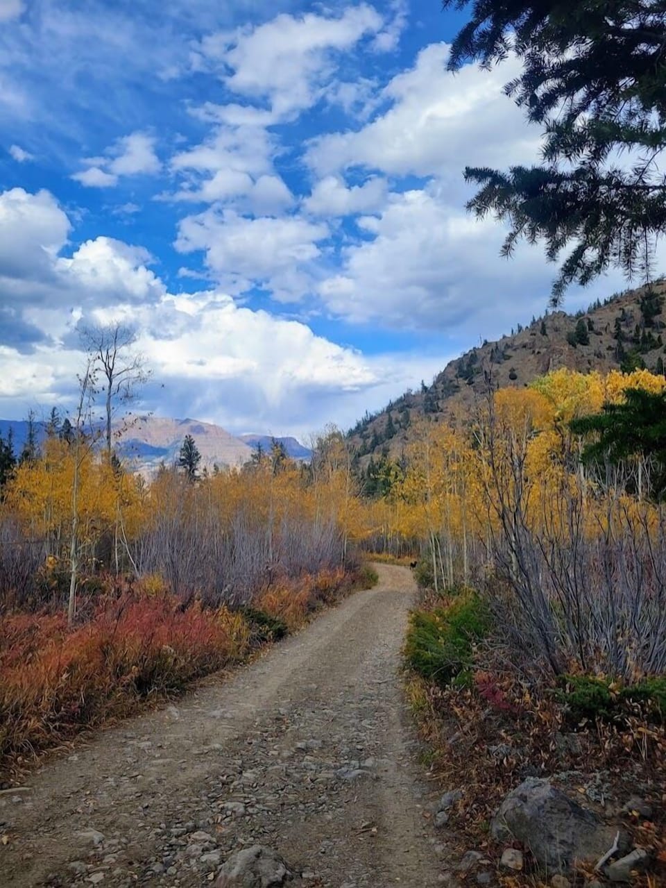 Close to hiking trails, including Green Creek.