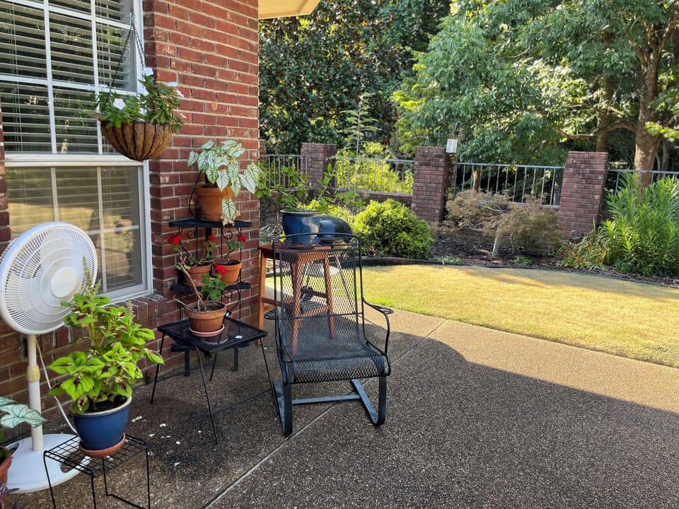 patio in enclosed back yard
