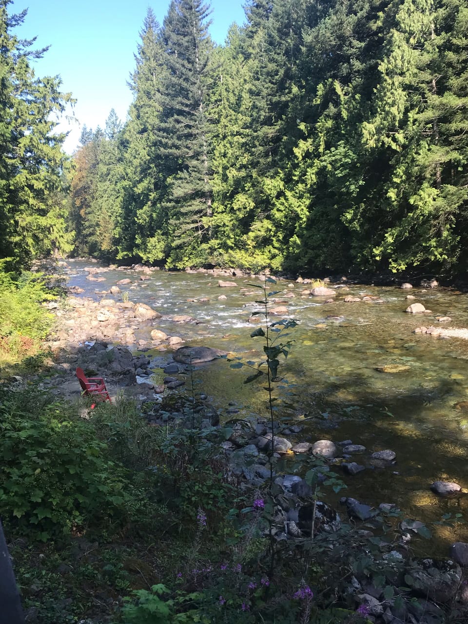 Looking upriver to the left... private and quiet. Photo taken early August.