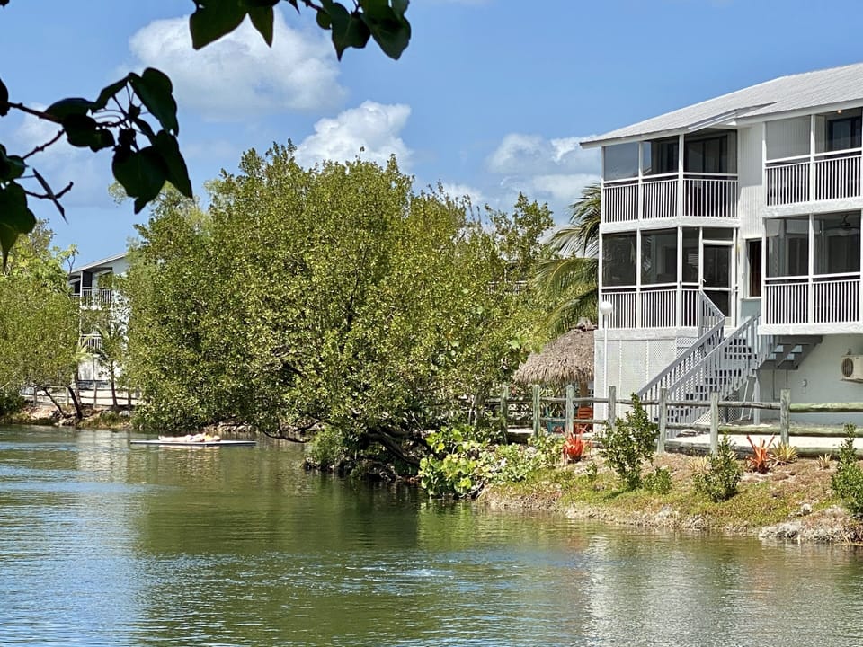 View of townhouse and tiki hut from swimmable salt water lagoon.