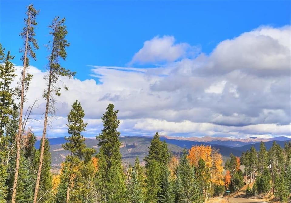 Gorgeous view from the road