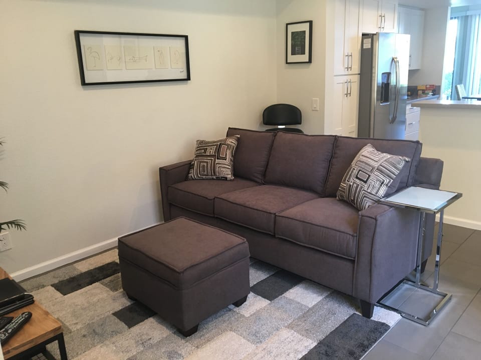 Den/TV room with 46in HD DVR flatscreen TV.