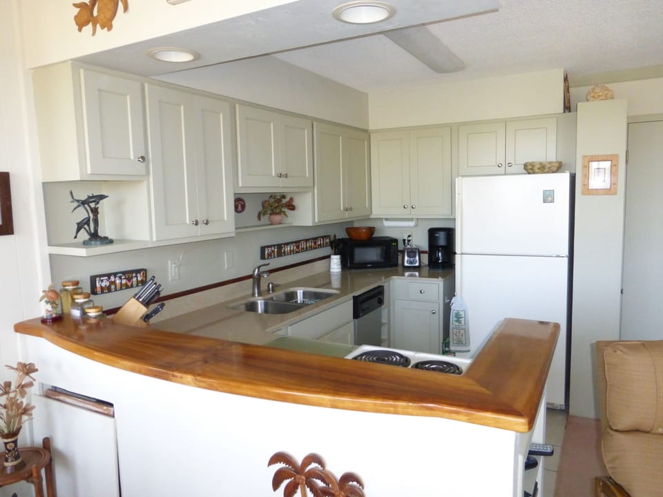 Native Koa wood accents fully appointed kitchen with silestone countertops