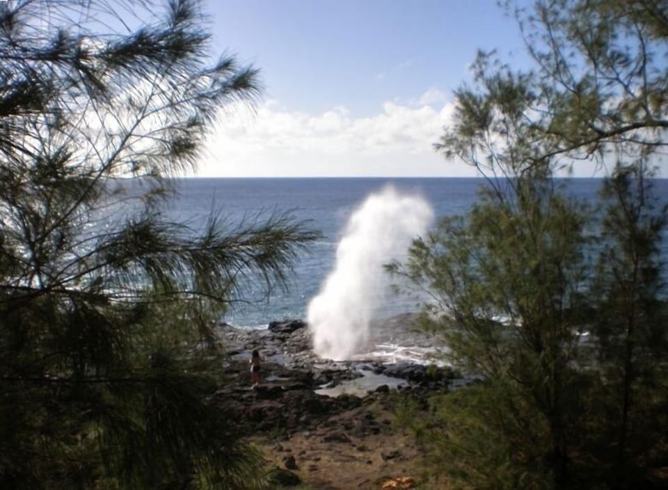 Majestic Spouting Horn and National Tropical Botanical Gardens are a short walk
