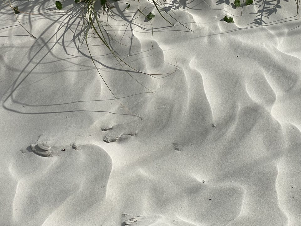 Pristine, white and powdery sand at the beach is so soft to walk on!