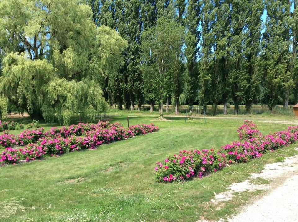Le jardin, étang au fond