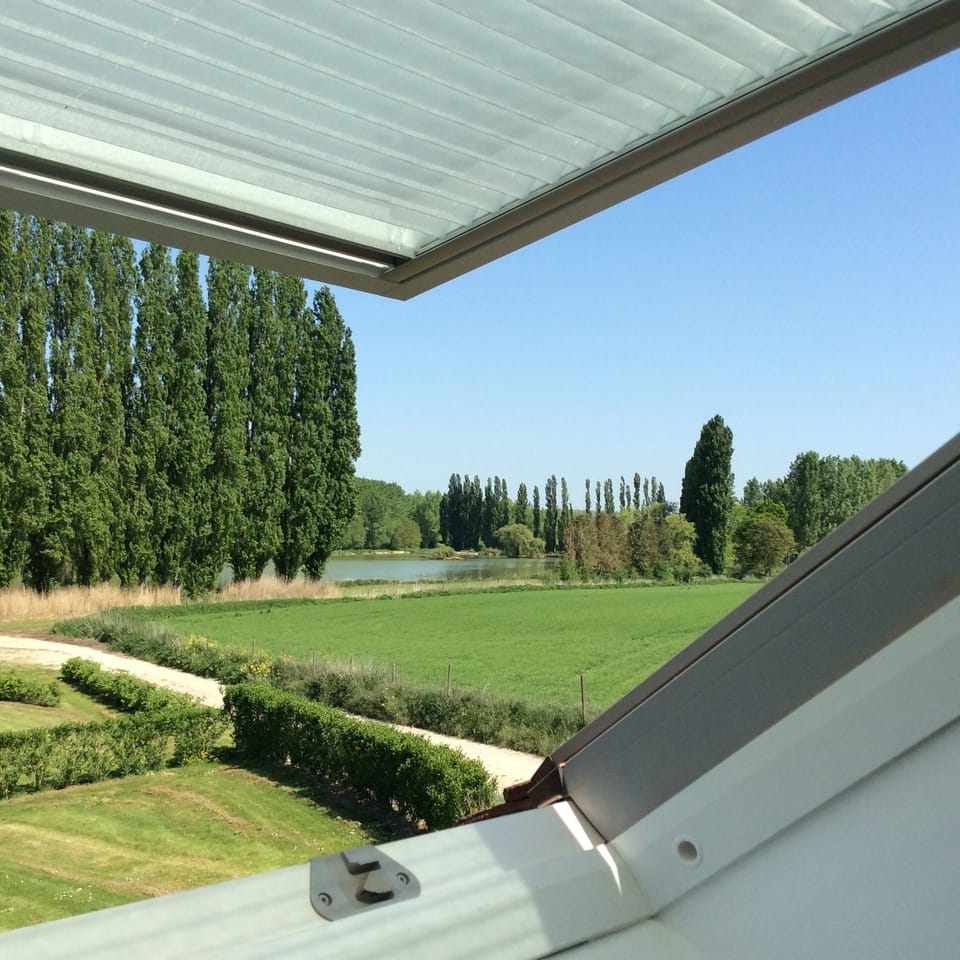 ... vue sur l'étang d'une des chambres