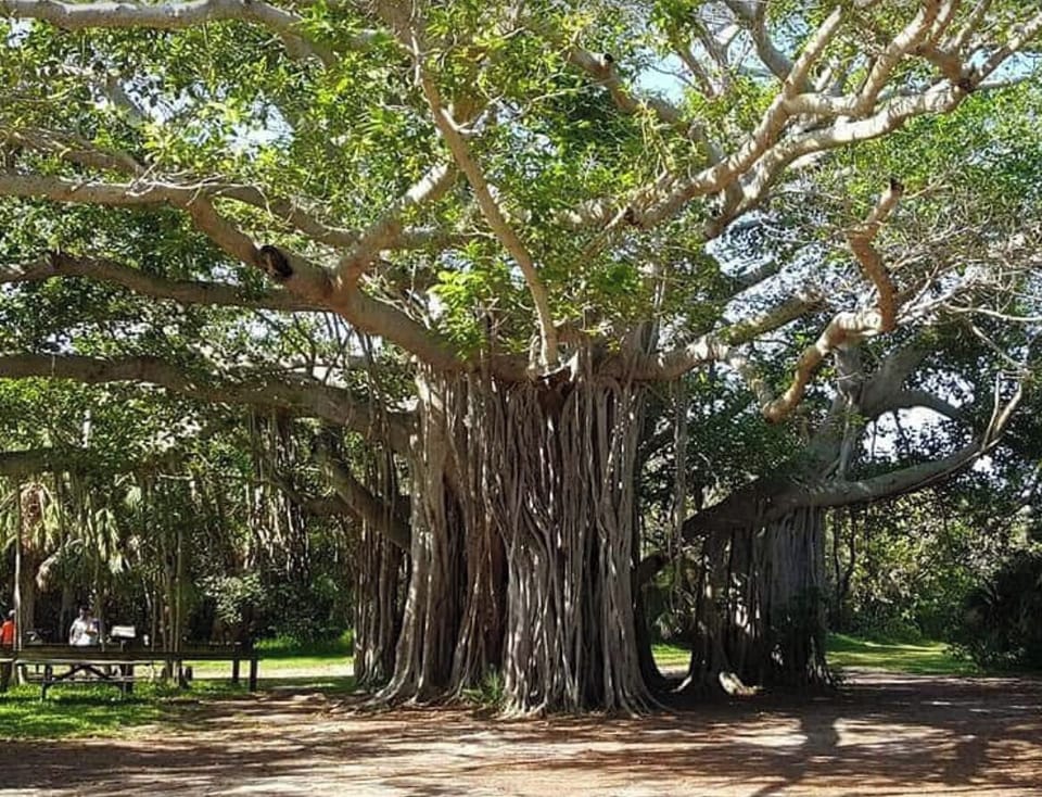 15 min walk to Hugh Taylor Birch State Park