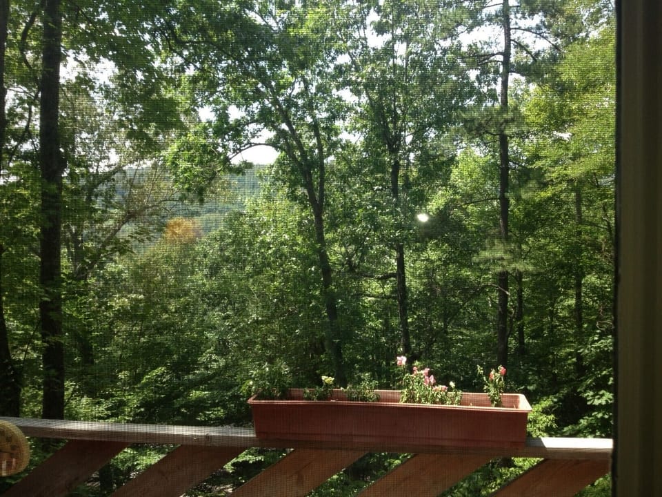View from Master Bedroom private balcony