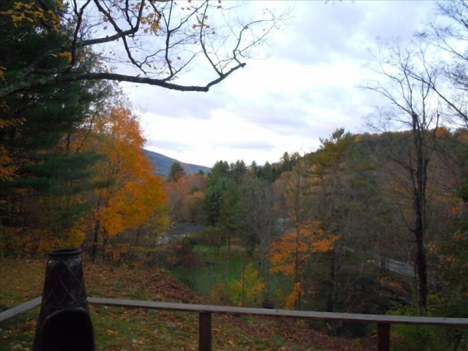 Fall color from deck