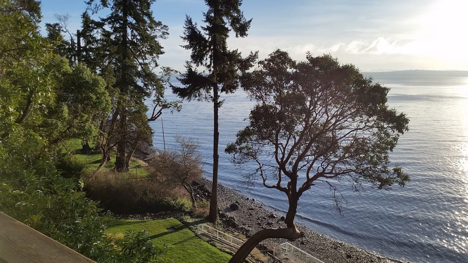 View from property