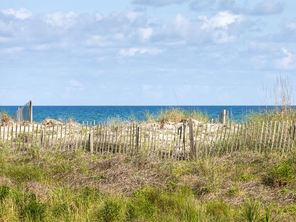 our dune