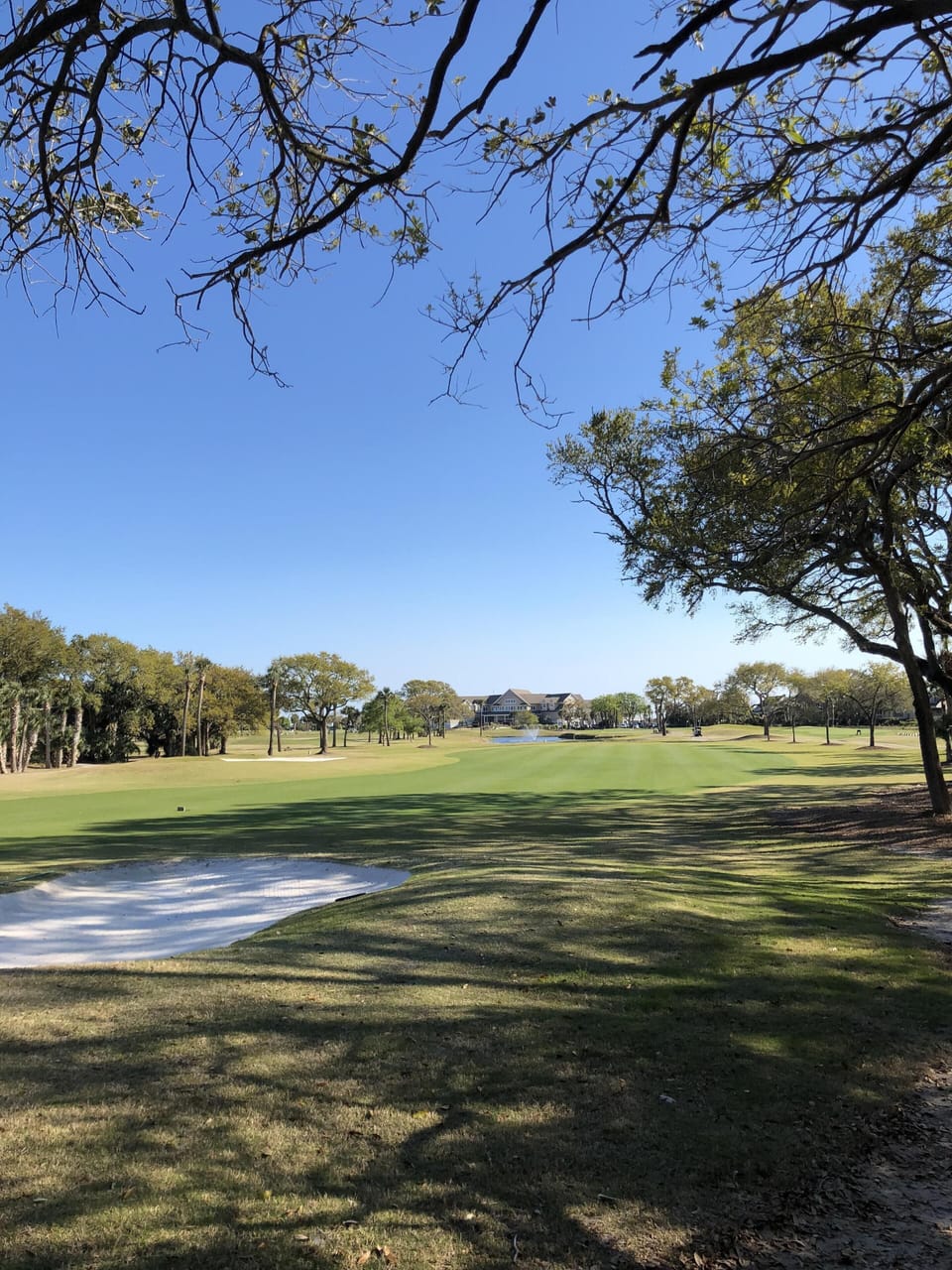 View from just left of hammocks, 1st fairway of Crooked Oaks Golf Course