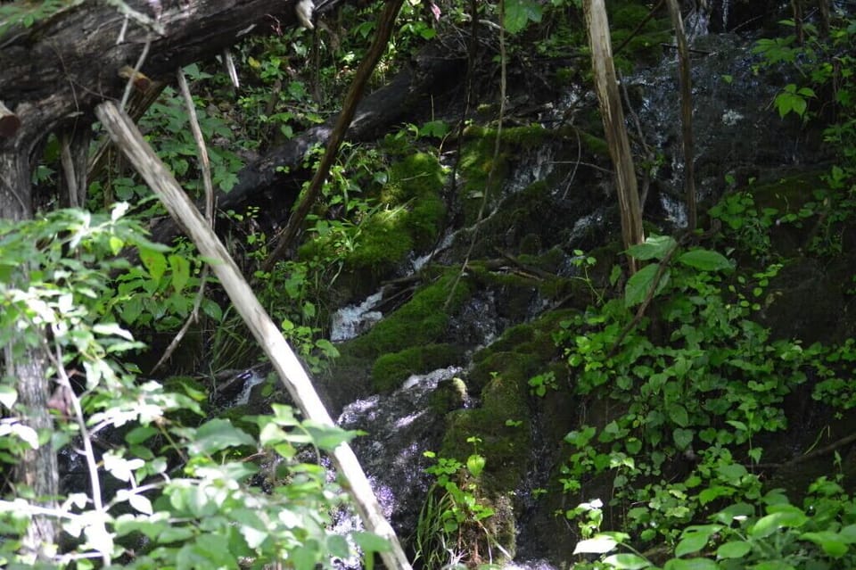 Waterfall beside house runs year round 