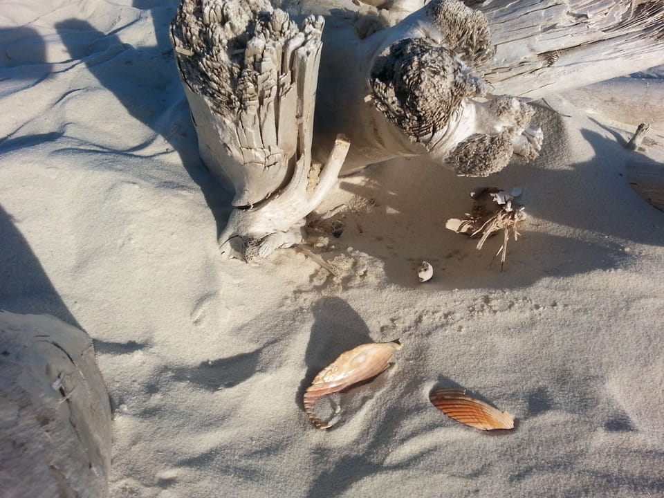 There are so Many Naturally Beautiful Beachscapes. 