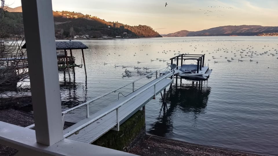 Canadian Geese in the Fall