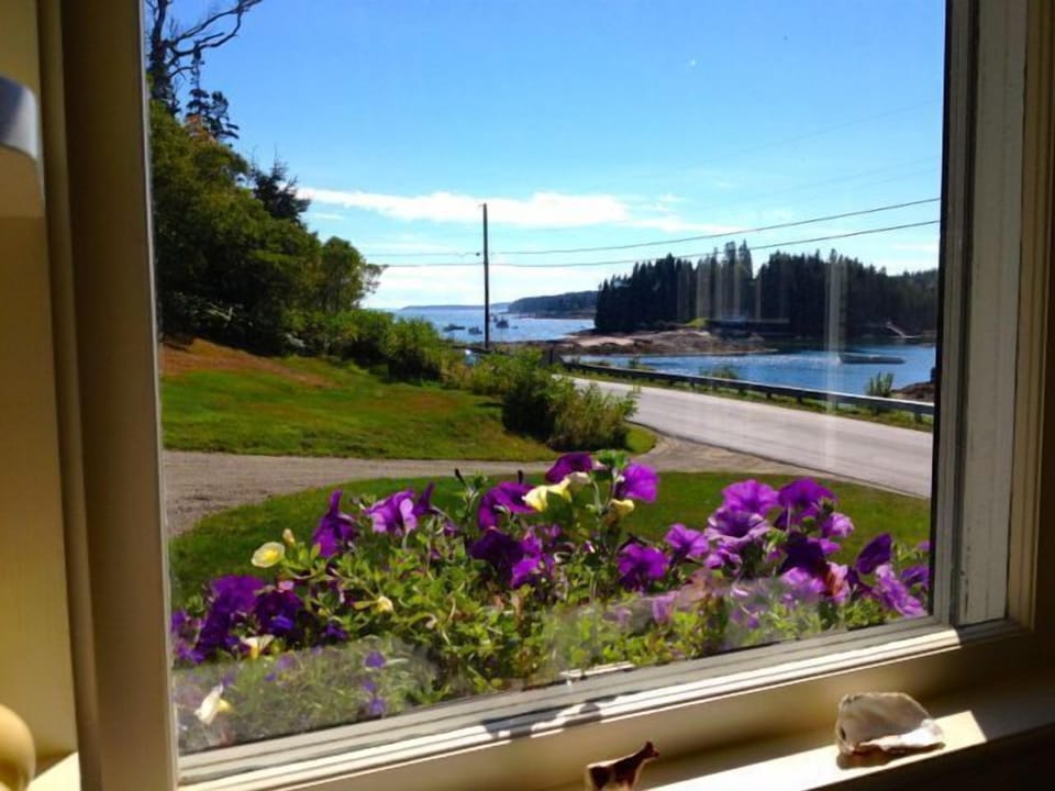 Enjoy preparing meals with a nice view! 