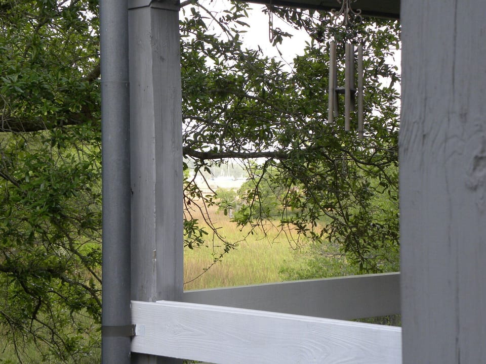 Marsh view through the trees.