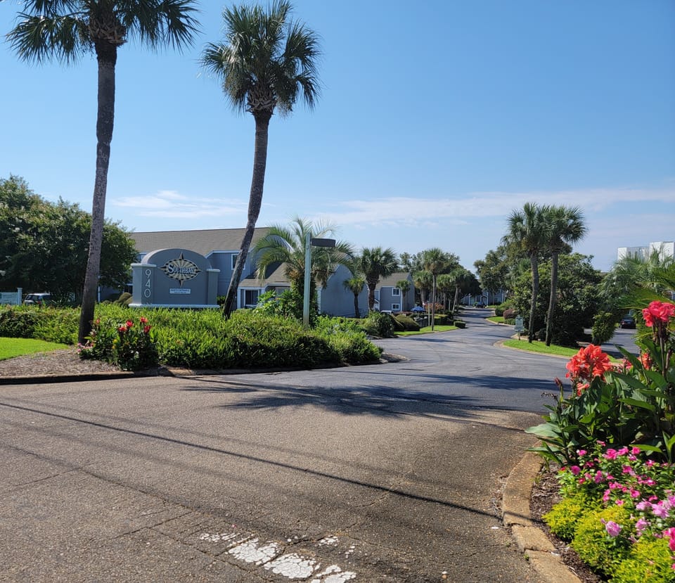 Entrance to Southbay by the Gulf...The happiness of  palm trees & paradise!
