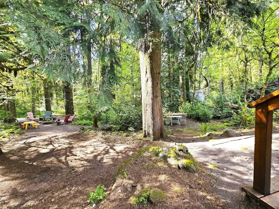 Right and center of the backyard space.