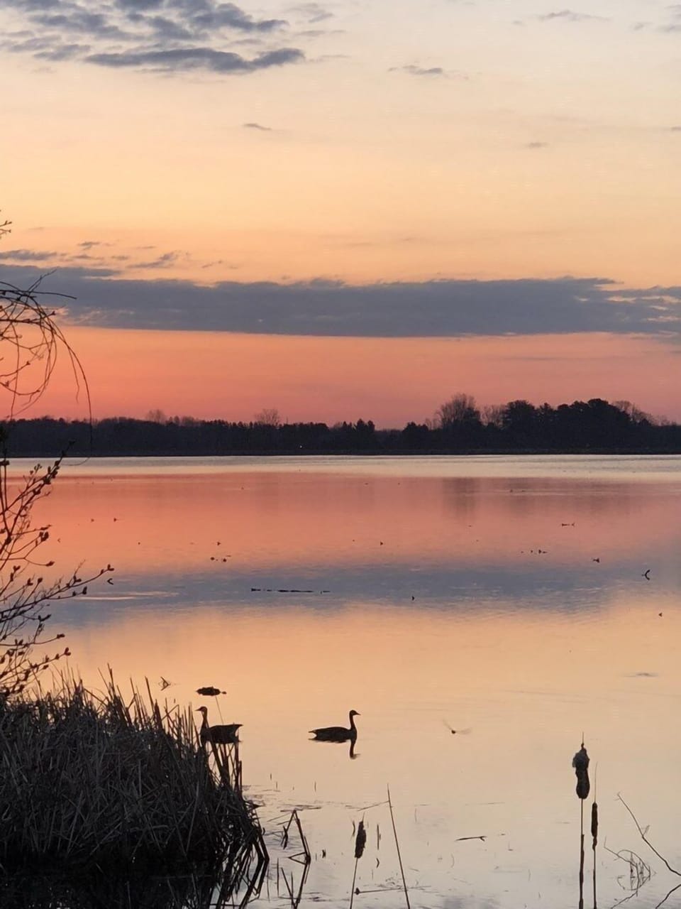 Morning sunrise over the lake from the dock area