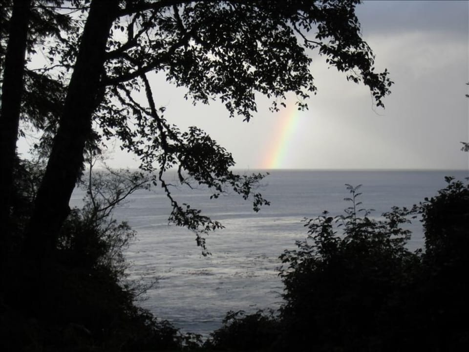 Rainbow on a gray day