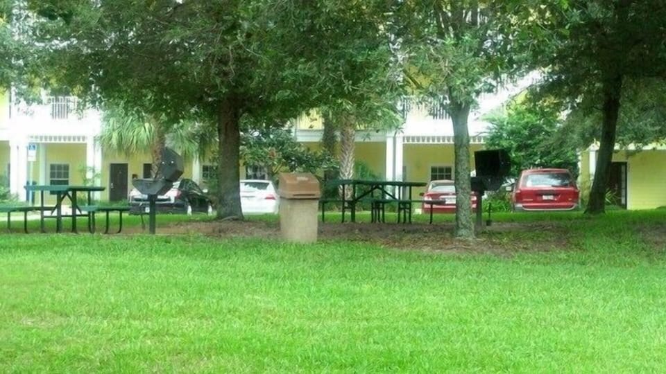 PICNIC AREA - BBQ'S FOR USE