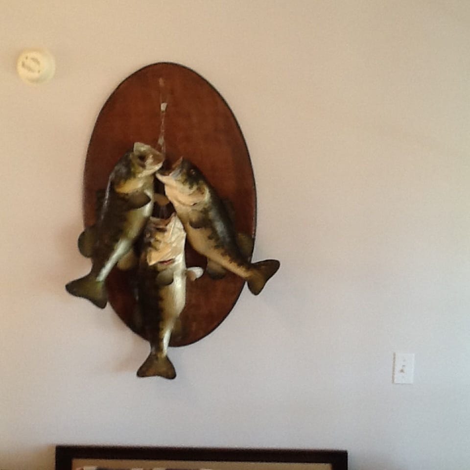 Local lake bass fish