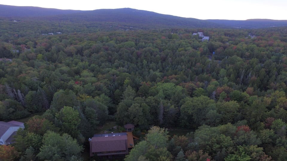 House surrounded by trees