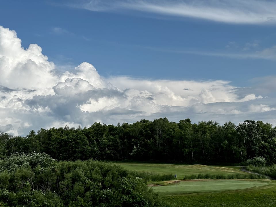 Beautiful wooded Blackbrook golf course steps away. 
