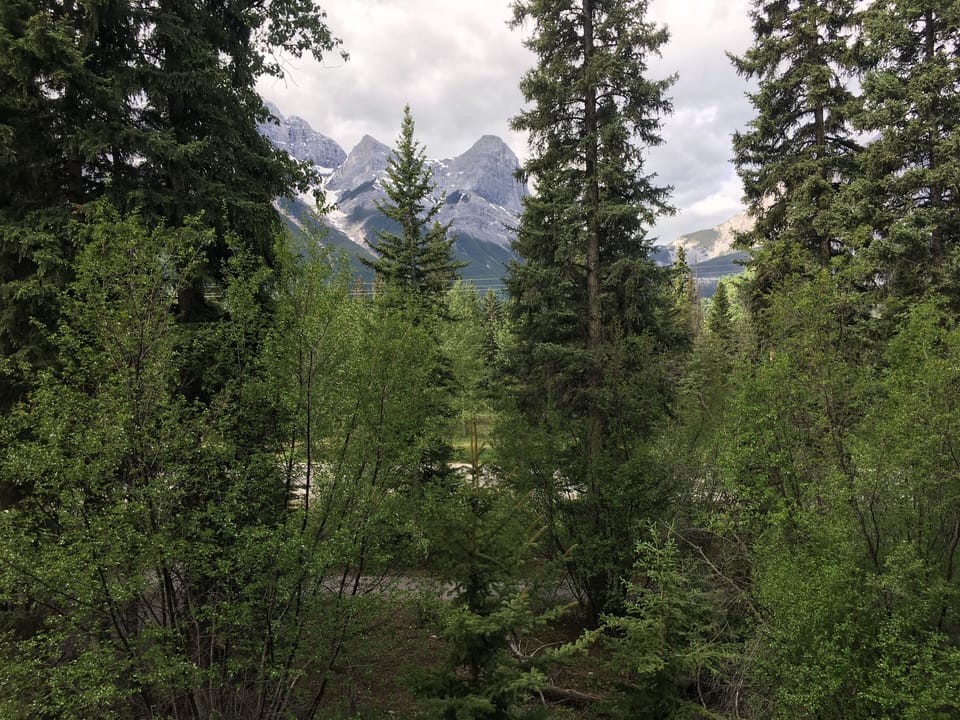 View from Balcony