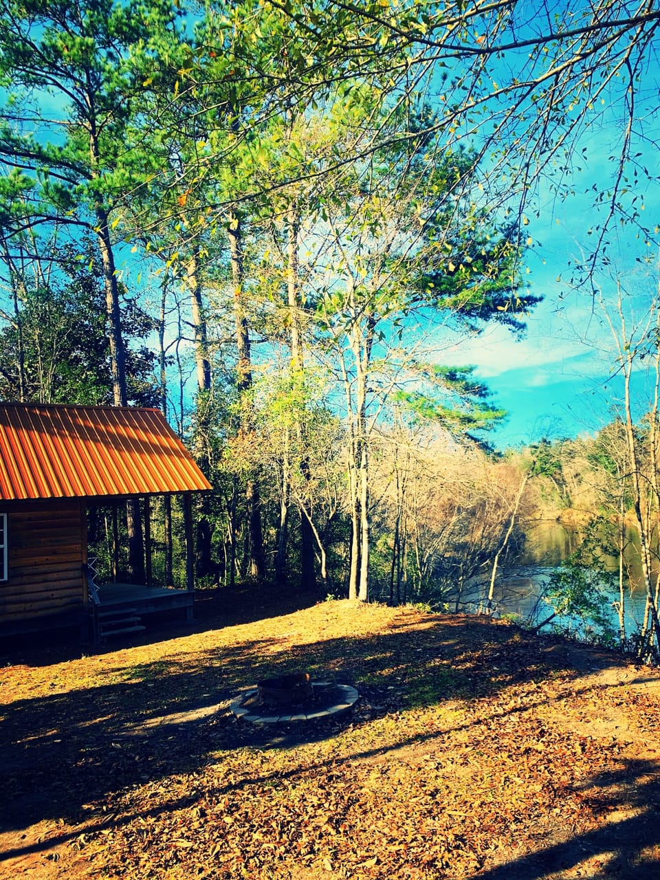Back of cabin overlooking the creek.