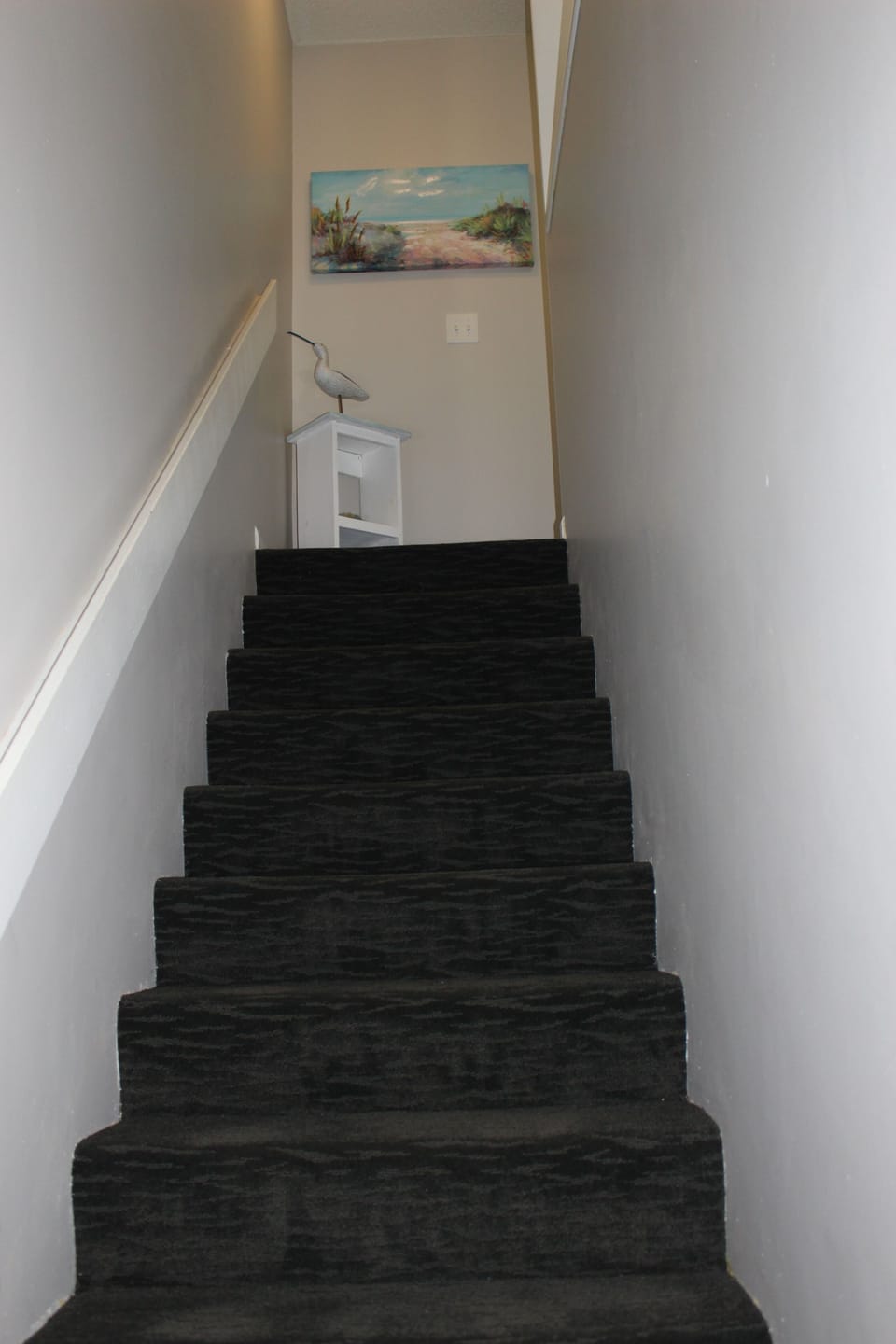 New Carpet through out the upstairs 