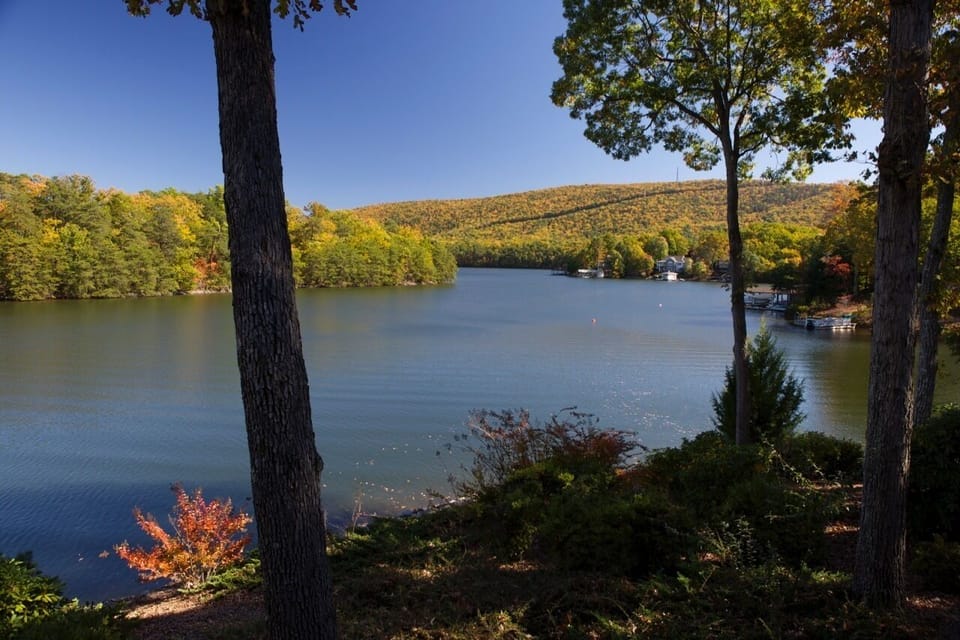 View from lower level covered deck