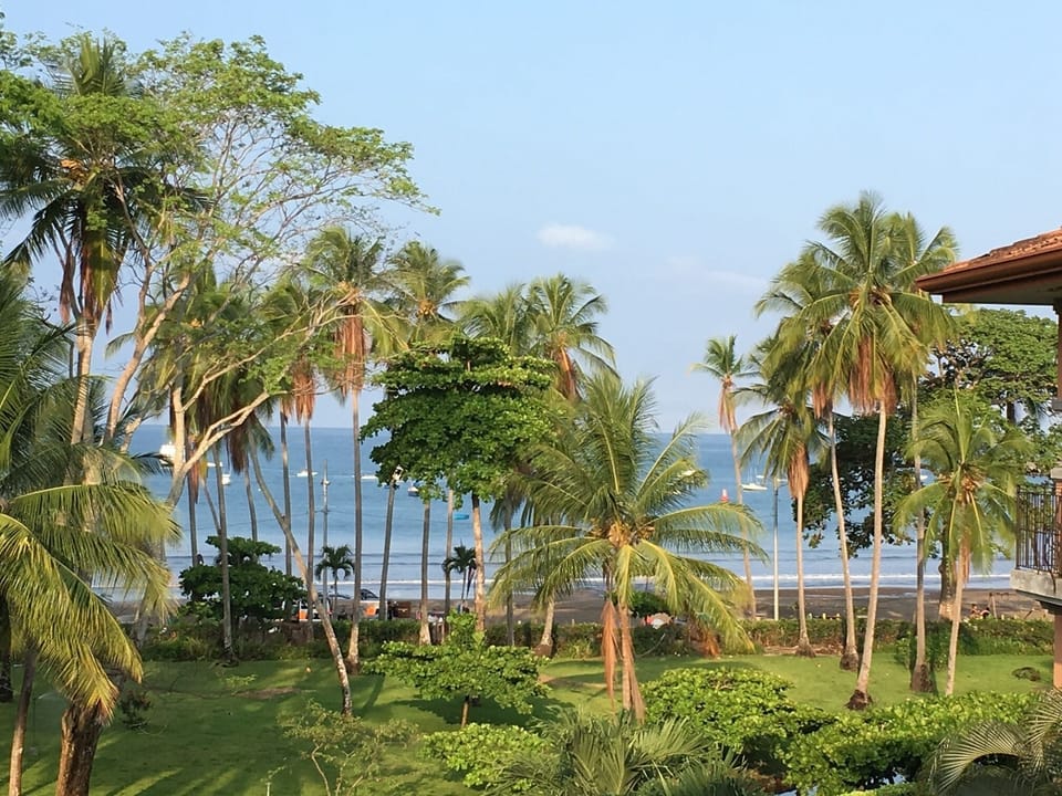 Ocean view from terrace