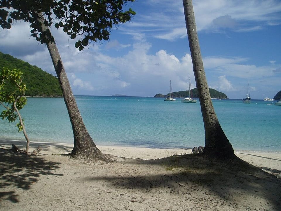 A spot to hang your hammock!