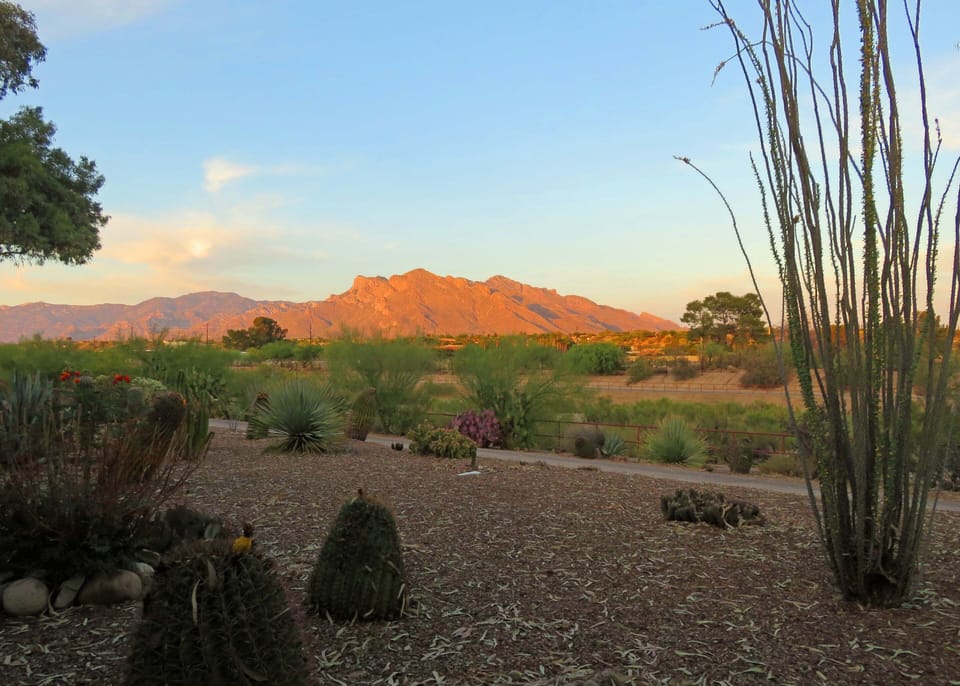 Sunset view of the Catalina mountains from the patio. 