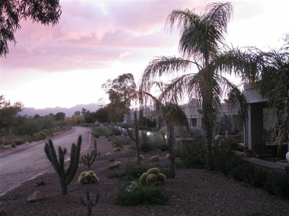 Looking south along walking path just beyond the patio.