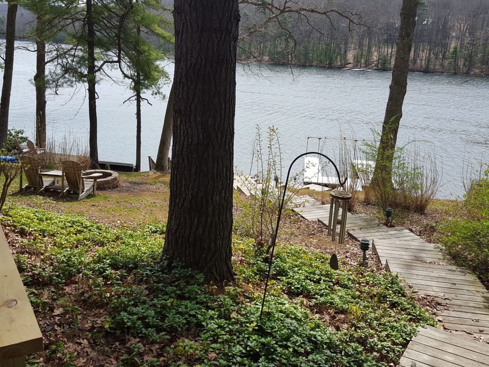 Fire Pit Overlooking the Lake 