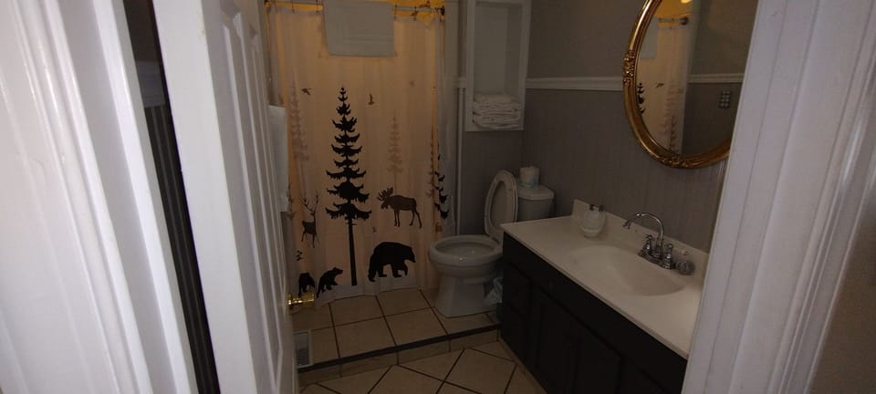 Guest full bathroom on entrance level