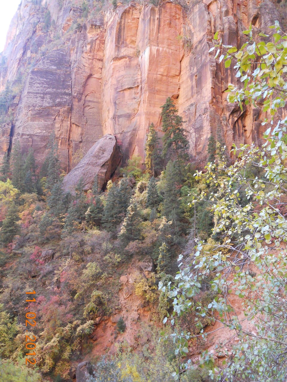 Fall in Zion