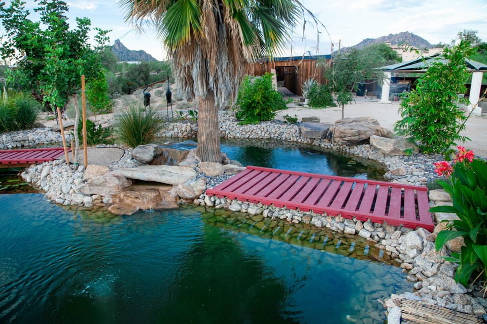 Watching the Koi fish swim around is a great way to decompress after a long day!