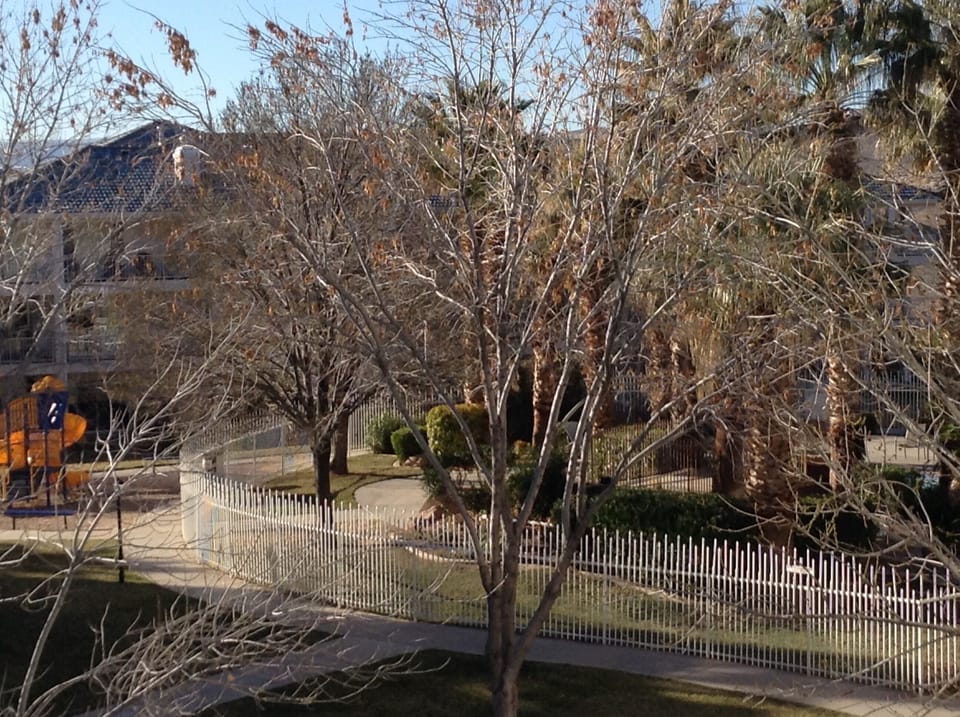 Winter Playground view from the deck